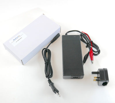 Lithium Battery Charger 12V, 10A, Alligator Clip