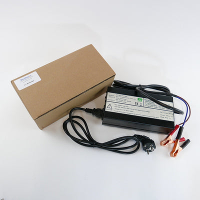 Lithium Battery Charger 12V, 20A, Alligator Clip