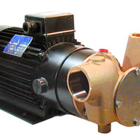 Utility 80' 1½" self-priming pump 24 volt d.c. BSP threaded connections for on-board & dockside holding tank pump-out - Jabsco CW351 OBSOLETE