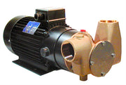 Utility 80' 1½" self-priming pump 24 volt d.c. BSP threaded connections for on-board & dockside holding tank pump-out - Jabsco CW351 OBSOLETE