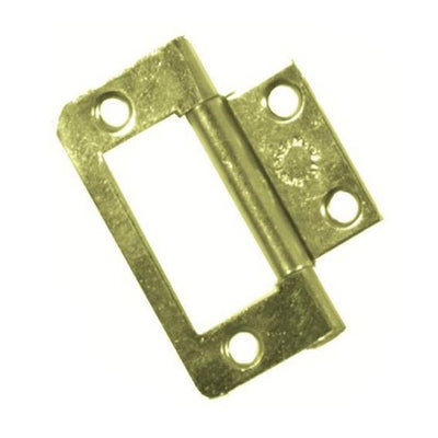 AG Flush Hinge 2