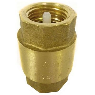 Non Return Valve 1/2