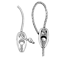 Sail Fasteners -Speed Clip - by Talamex