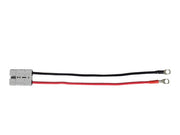 Eye Terminal For Trolling Motors - by Talamex
