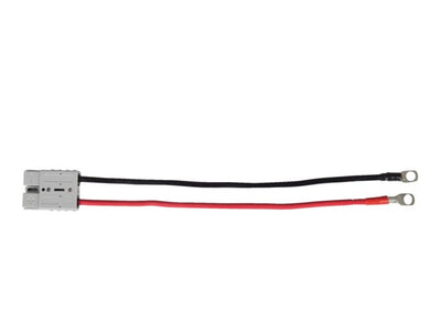 Eye Terminal For Trolling Motors - by Talamex