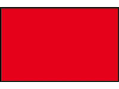 Protest Flag - by Talamex