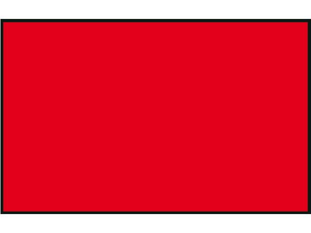 Protest Flag - by Talamex