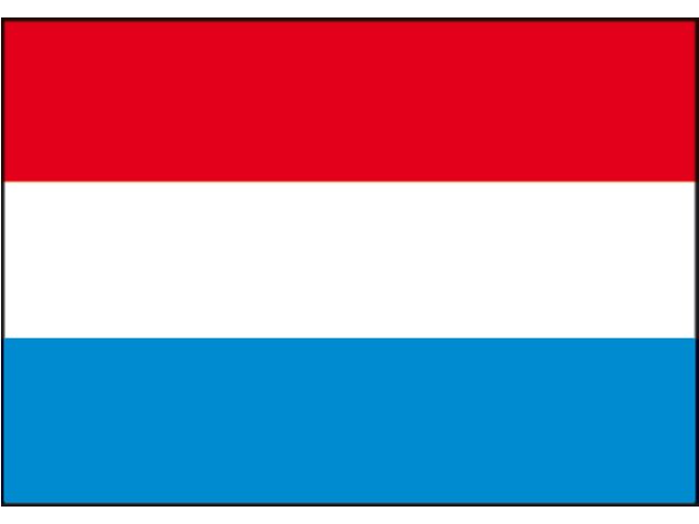 Dutch Flags - by Talamex