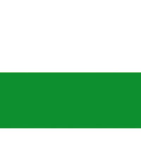 Thüringen Flag - by Talamex