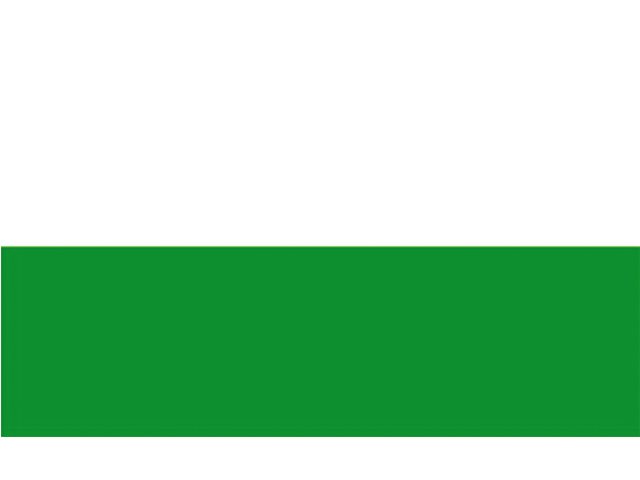 Thüringen Flag - by Talamex