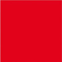Bodensee Emergency Flag - by Talamex