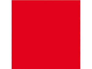 Bodensee Emergency Flag - by Talamex
