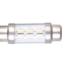 LED Festoon - by Talamex