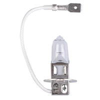 Halogen Lamp H3 - by Talamex