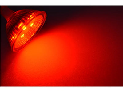 LED GU4 / GU5.3 - by Talamex