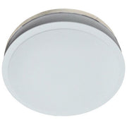 Bathroom Ceiling Light Opal 290mm