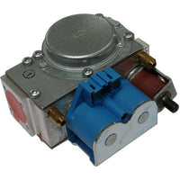 24I RSF Gas Valve (87161424300)