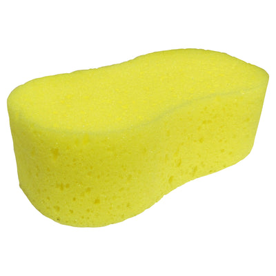 Sponge Bone Shaped Cellulose