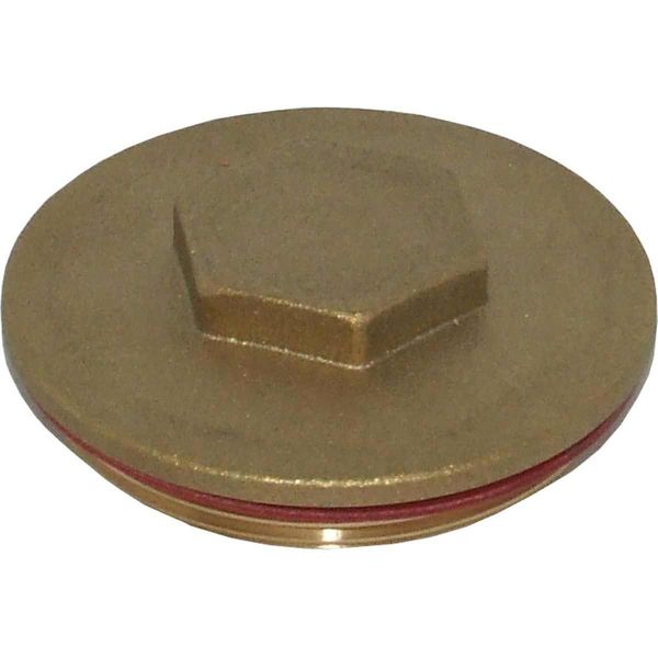Surecal Plug for Immersion Heater (2-1/4 BSP) | ChasNewensMarine