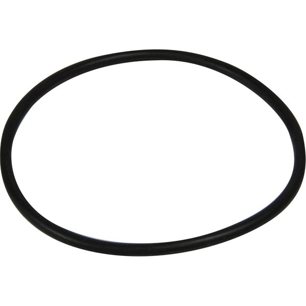 Sherwood Water Strainer O-Ring (1", 1-1/4" & 1-1/2")  SW11803