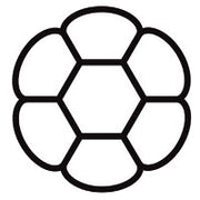 Proboat Compact Strand 1x7 St/St