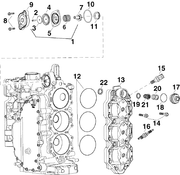 Evinrude Johnson OMC Engine Part DIAPHRAGM  0347244 347244 - ChasNewensMarine