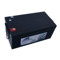 Lithium Battery LiFePO4 100ah