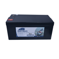 Lithium Battery LiFePO4 100ah