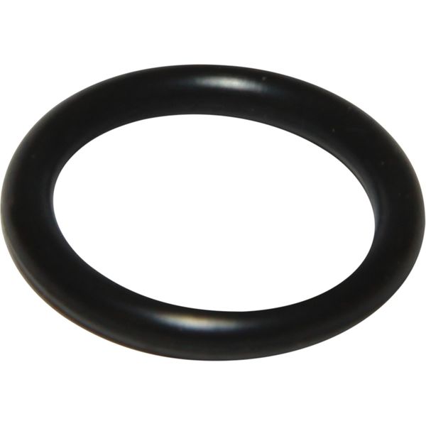 PRM Gearbox O-Ring for Newage PRM Delta/150 4301526