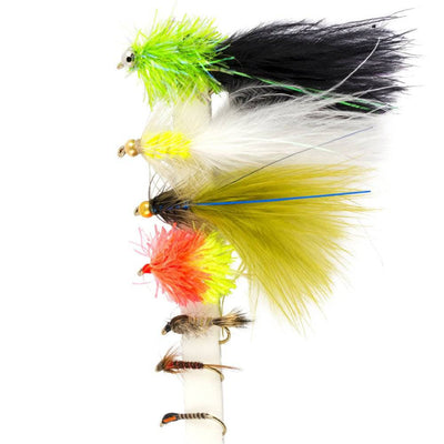 Snowbee Stillwater & General Flies - SF122 Small Water Favourites