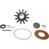 Sherwood Minor Repair Kit 23972 for Sherwood P1700 Series Engine Pumps  SW23972 - ChasNewensMarine