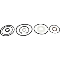 Sherwood Major Repair Kit for Sherwood G2903, G1810 & G1814 Pumps  SW25045